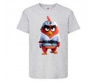 Футболка детская Энгри Бердс  (Angry Birds) серая  (AB-karate-gray) 104 см