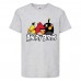 Футболка детская Энгри Бердс  (Angry Birds) серая  (AB-red-chak&bomb-gray) 104 см