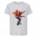 Футболка детская Марвел  (Marvel & DC) серая (spider-gray) 104 см