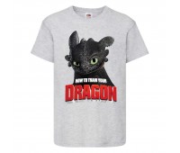 Футболка детская Как приручить дракона (DRAGONS) серая (dragon-05-gray) 104 см Футболка детская Как приручить дракона (DRAGONS) серая (dragon-05-gray) 104 см