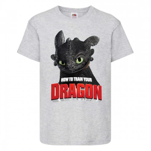 Футболка детская Как приручить дракона (DRAGONS) серая (dragon-05-gray) 152 см Футболка детская Как приручить дракона (DRAGONS) серая (dragon-05-gray) 152 см