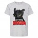 Футболка детская Как приручить дракона (DRAGONS) серая (dragon-05-gray) 152 см Футболка детская Как приручить дракона (DRAGONS) серая (dragon-05-gray) 152 см