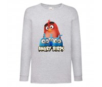 Лонгслив реглан Энгри бердз 3 (Angry Birds) серая (ANB gr 03) 104 см