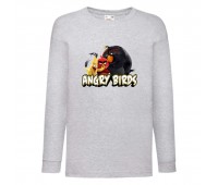 Лонгслив реглан Энгри бердз 5 (Angry Birds) серая (ANB gr 05) 104 см