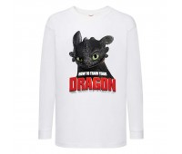Лонгслив реглан Как приручить дракона (How to train your dragon) белый (TRD wh 01) 128 см