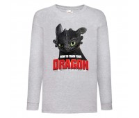 Лонгслив реглан Как приручить дракона (How to train your dragon) серый (TRD gr 01) 116 см