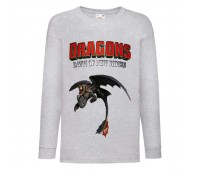 Лонгслив реглан Как приручить дракона 5 (How to train your dragon) серый (TRD gr 05) 128 см