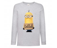 Лонгслив реглан Миньоны 9 (Minions) серый (MS gr 009) 104 см