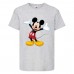 Футболка детская Микки Маус 009 (Mickey Mouse) серая (MMS gr 009) 116 см Футболка детская Микки Маус 009 (Mickey Mouse) серая (MMS gr 009) 116 см