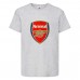 Футболка детская Футбольный клуб Арсенал (Arsenal) серая (FOOT gr 002) 116 см Футболка детская Футбольный клуб Арсенал (Arsenal) серая (FOOT gr 002) 116 см