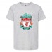 Футболка детская Футбольный клуб Ливерпуль (Liverpool) серая (FOOT gr 008) 116 см Футболка детская Футбольный клуб Ливерпуль (Liverpool) серая (FOOT gr 008) 116 см