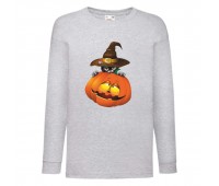 Лонгслив реглан Хелловин 0001 (Halloween) серый (HAL gr 0001) 104 см