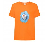 Футболка детская Холодное сердце 002 (Frozen) оранжевая (FRH orn 002) 104 см Футболка детская Холодное сердце 002 (Frozen) оранжевая (FRH orn 002) 104 см