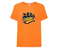 Футболка детская Хот Вилс 008 (HotWheels) оранжевая (HTW orn 008) 164 см