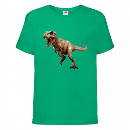 Футболка детская Парк Юрского Периода 0012 (Jurassic Park) зеленая (JPK grn 0012) 164 см Футболка детская Парк Юрского Периода 0012 (Jurassic Park) зеленая (JPK grn 0012) 164 см