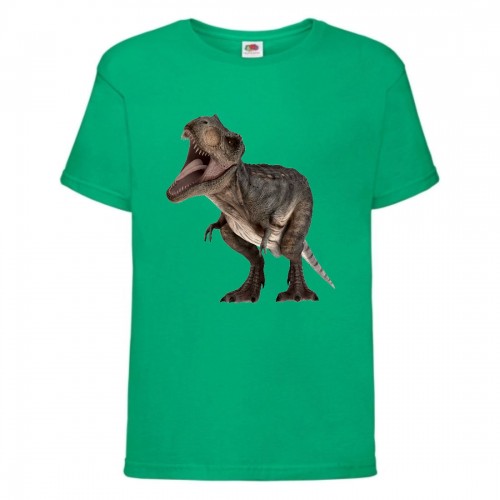 Футболка детская Парк Юрского Периода 0013 (Jurassic Park) зеленая (JPK grn 0013) 152 см Футболка детская Парк Юрского Периода 0013 (Jurassic Park) зеленая (JPK grn 0013) 152 см