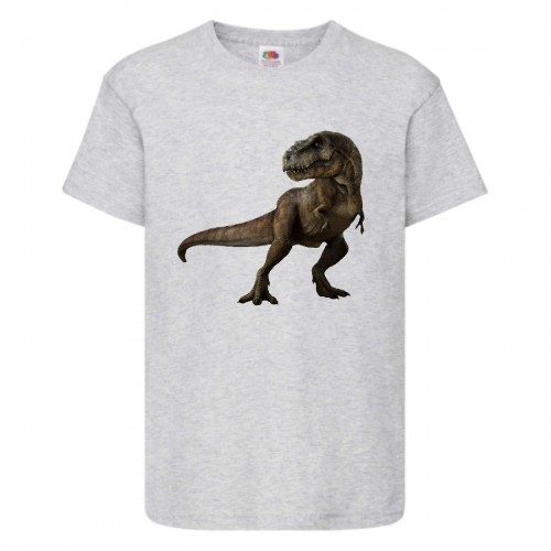 Футболка детская Парк Юрского Периода 002 (Jurassic Park) серая (JPK gry 002) 116 см Футболка детская Парк Юрского Периода 002 (Jurassic Park) серая (JPK gry 002) 116 см