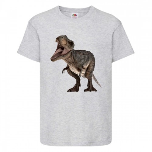 Футболка детская Парк Юрского Периода 0013 (Jurassic Park) серая (JPK gry 0013) 128 см Футболка детская Парк Юрского Периода 0013 (Jurassic Park) серая (JPK gry 0013) 128 см