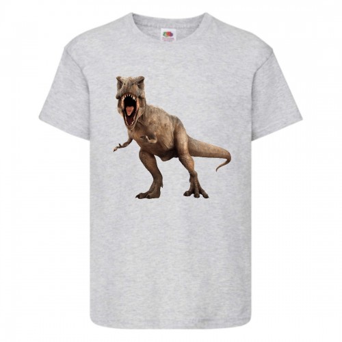 Футболка детская Парк Юрского Периода 0014 (Jurassic Park) серая (JPK gry 0014) 128 см Футболка детская Парк Юрского Периода 0014 (Jurassic Park) серая (JPK gry 0014) 128 см