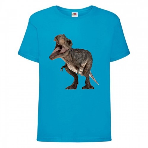 Футболка детская Парк Юрского Периода 0013 (Jurassic Park) синяя (JPK blu 0013) 116 см Футболка детская Парк Юрского Периода 0013 (Jurassic Park) синяя (JPK blu 0013) 116 см