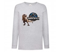 Лонгслив реглан Парк Юрского Периода 005 (Jurassic Park) серый (JPK gry 005) 104 см