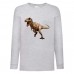 Лонгслив реглан Парк Юрского Периода 0012 (Jurassic Park) серый (JPK gry 0012) 104 см