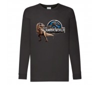 Лонгслив реглан Парк Юрского Периода 005 (Jurassic Park) черный (JPK blc 005) 104 см