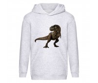 Худи детская Парк Юрского Периода 002 (Jurassic Park) серый (JPK gry 002) 116 см