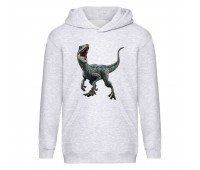 Худи детская Парк Юрского Периода 003 (Jurassic Park) серый (JPK gry 003) 116 см