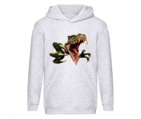 Худи детская Парк Юрского Периода 0011 (Jurassic Park) серый (JPK gry 0011) 116 см