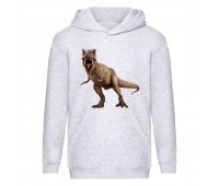 Худи детская Парк Юрского Периода 0014 (Jurassic Park) серый (JPK gry 0014) 116 см