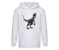 Худи детская Парк Юрского Периода 0016 (Jurassic Park) серый (JPK gry 0016) 116 см