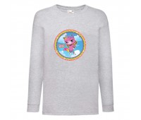 Лонгслив реглан Радужная Кошка 003 (Rainbow Cat) серый (RNC gry 003) 104 см