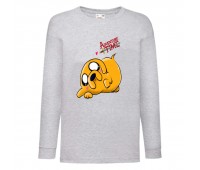 Лонгслив реглан Время Приключений 006 (Adventure Time) серый (ART gry 006) 104 см