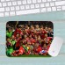 Коврик для мыши ФК Бавария Мюнхен FC Bayern Munich средний 004 (290х250х3мм) Коврик для мыши ФК Бавария Мюнхен FC Bayern Munich средний 004 (290х250х3мм)