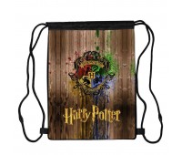Сумка для обуви Гарри Поттер (Harry Potter 01), 410 х 300 мм