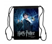 Сумка для обуви Гарри Поттер (Harry Potter 03), 410 х 300 мм