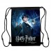 Сумка для обуви Гарри Поттер (Harry Potter 03), 410 х 300 мм