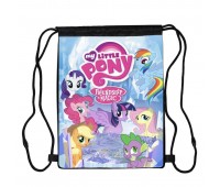 Сумка для обуви Мой маленький пони (My little pony 006), 410 х 300 мм