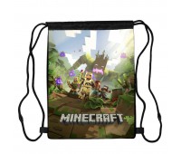 Сумка для обуви Майнкрафт (Minecraft 003), 410 х 300 мм