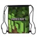 Сумка для обуви Майнкрафт (Minecraft 0010), 410 х 300 мм