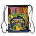 Сумка для обуви Черепашки ниндзя (Teenage Mutant Ninja Turtles 002), 410 х 300 мм