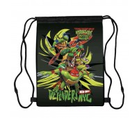 Сумка для обуви Черепашки ниндзя (Teenage Mutant Ninja Turtles 003), 410 х 300 мм