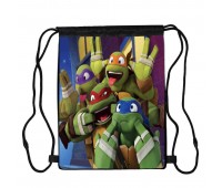 Сумка для обуви Черепашки ниндзя (Teenage Mutant Ninja Turtles 008), 410 х 300 мм