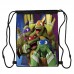 Сумка для обуви Черепашки ниндзя (Teenage Mutant Ninja Turtles 008), 410 х 300 мм