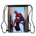 Сумка для обуви Человек Паук (Spiderman 007), 410 х 300 мм