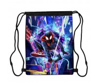 Сумка для обуви Человек Паук (Spiderman 0011), 410 х 300 мм