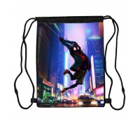 Сумка для обуви Человек Паук (Spiderman 0013), 410 х 300 мм