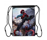 Сумка для обуви Человек Паук (Spiderman 0014), 410 х 300 мм
