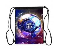 Сумка для обуви ФК Барселона (FC Barcelona 003), 410 х 300 мм